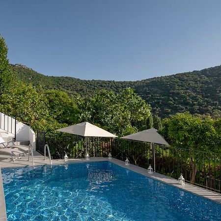 Stunning Home Benamahoma 4 Bed - Sierra Grazalema Экстерьер фото