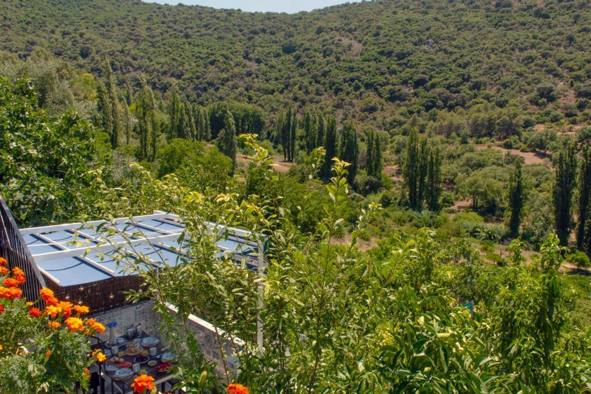Stunning Home Benamahoma 4 Bed - Sierra Grazalema Экстерьер фото
